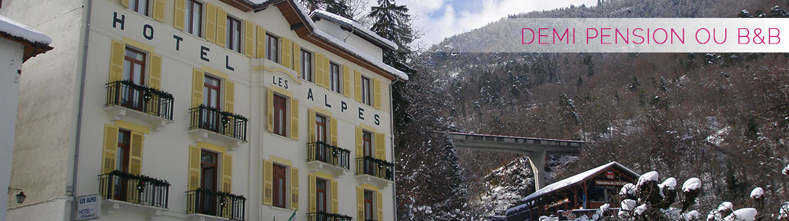 demi-pension-hotel-des-alpes